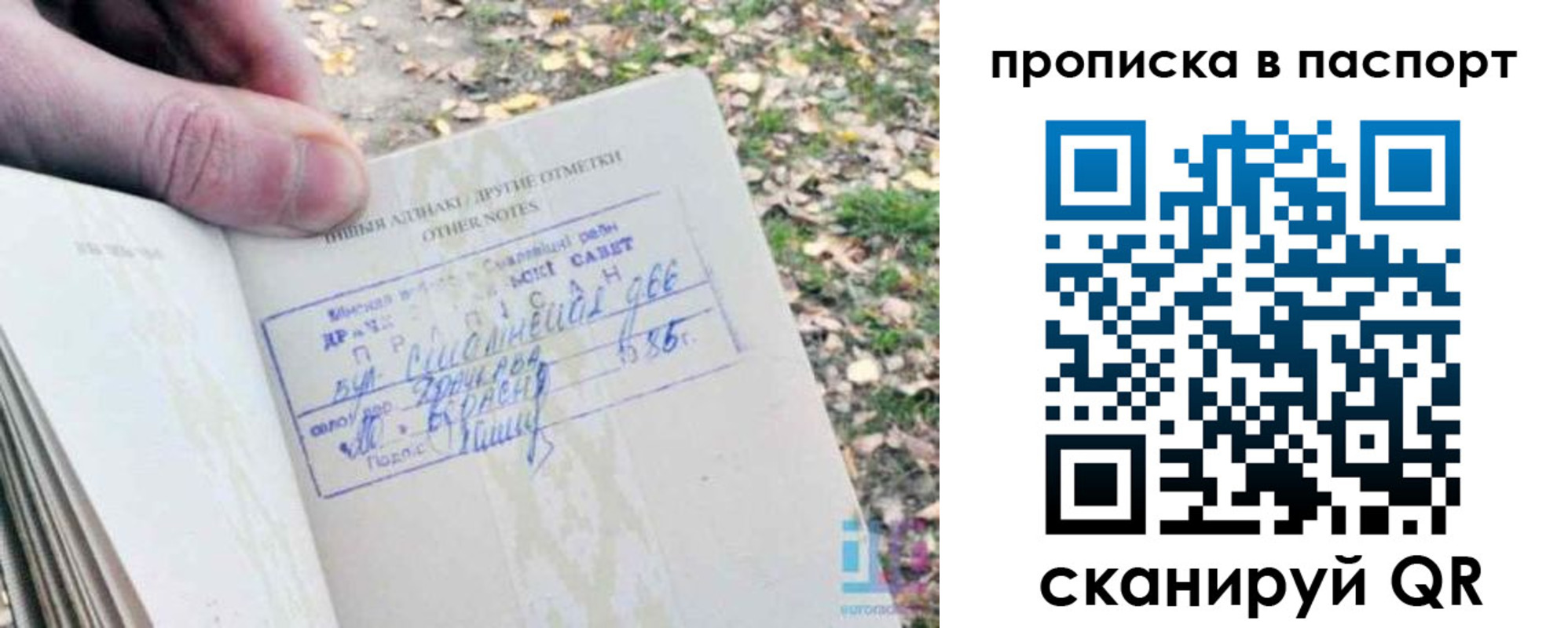 купить прописку в Тайшете